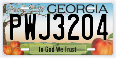 GA license plate PWJ3204