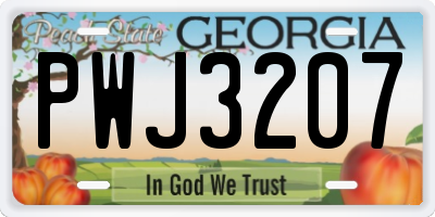 GA license plate PWJ3207