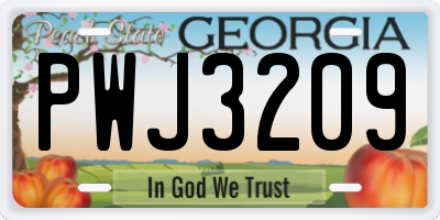 GA license plate PWJ3209
