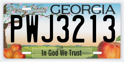 GA license plate PWJ3213