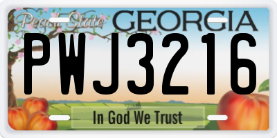 GA license plate PWJ3216