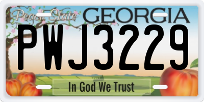 GA license plate PWJ3229