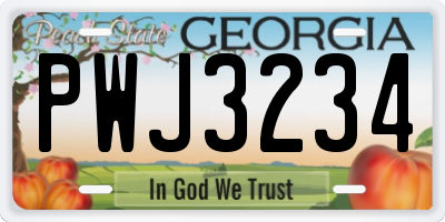GA license plate PWJ3234