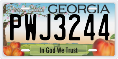 GA license plate PWJ3244