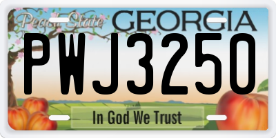 GA license plate PWJ3250