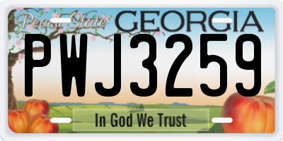 GA license plate PWJ3259