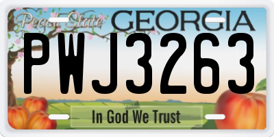 GA license plate PWJ3263