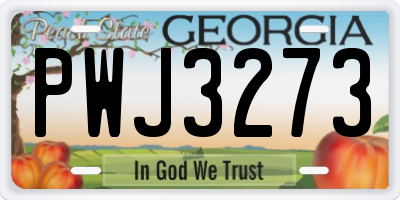 GA license plate PWJ3273