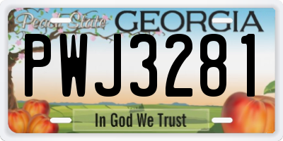 GA license plate PWJ3281