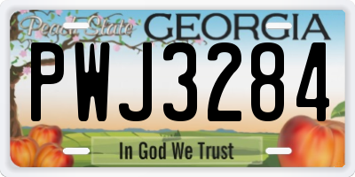 GA license plate PWJ3284