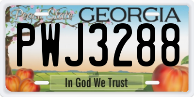 GA license plate PWJ3288