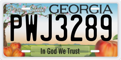 GA license plate PWJ3289