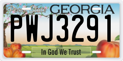GA license plate PWJ3291