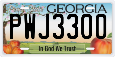 GA license plate PWJ3300