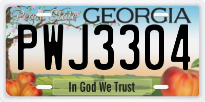 GA license plate PWJ3304