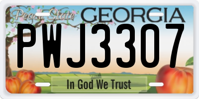 GA license plate PWJ3307