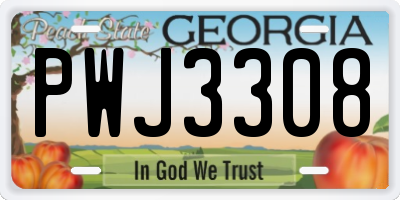 GA license plate PWJ3308
