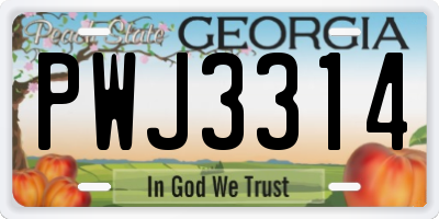 GA license plate PWJ3314