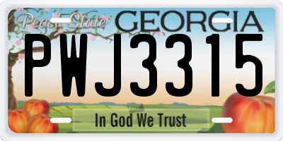 GA license plate PWJ3315