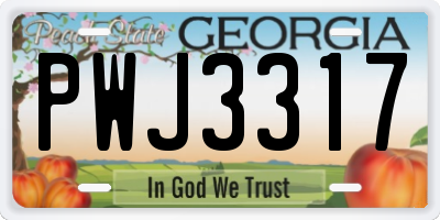 GA license plate PWJ3317