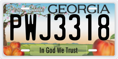 GA license plate PWJ3318