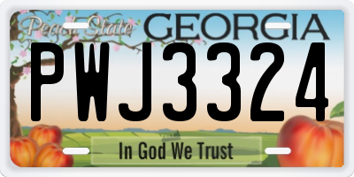 GA license plate PWJ3324
