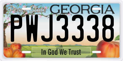 GA license plate PWJ3338