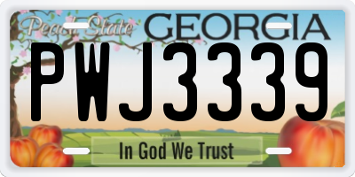 GA license plate PWJ3339