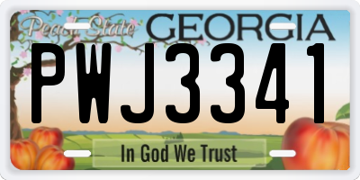GA license plate PWJ3341