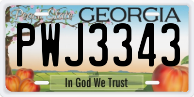 GA license plate PWJ3343