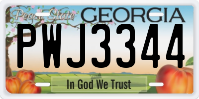 GA license plate PWJ3344