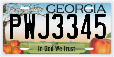 GA license plate PWJ3345