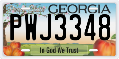 GA license plate PWJ3348