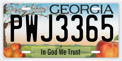 GA license plate PWJ3365