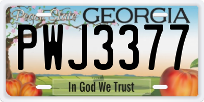 GA license plate PWJ3377