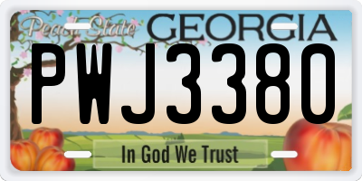 GA license plate PWJ3380