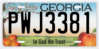 GA license plate PWJ3381