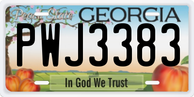 GA license plate PWJ3383