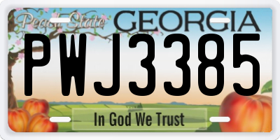 GA license plate PWJ3385