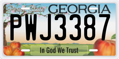 GA license plate PWJ3387