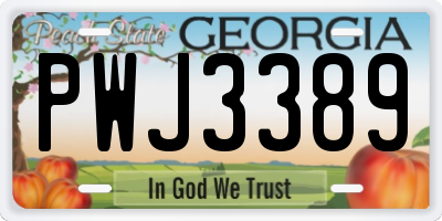 GA license plate PWJ3389