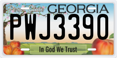 GA license plate PWJ3390