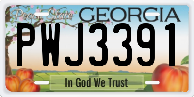 GA license plate PWJ3391