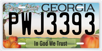 GA license plate PWJ3393