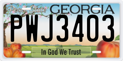 GA license plate PWJ3403