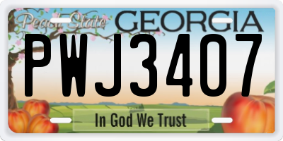 GA license plate PWJ3407