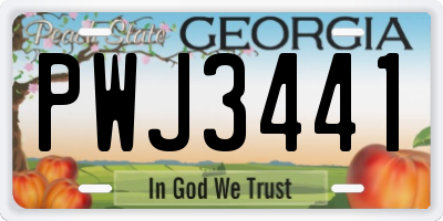 GA license plate PWJ3441