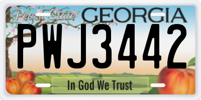 GA license plate PWJ3442