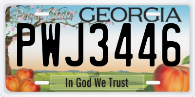 GA license plate PWJ3446