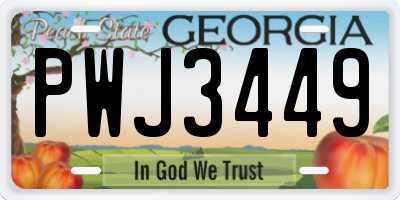GA license plate PWJ3449